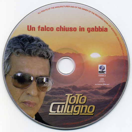 un-falco-chiuso-in-gabbia