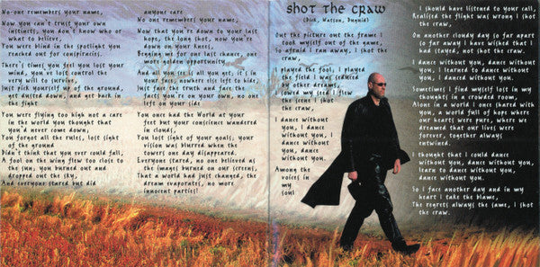 field-of-crows