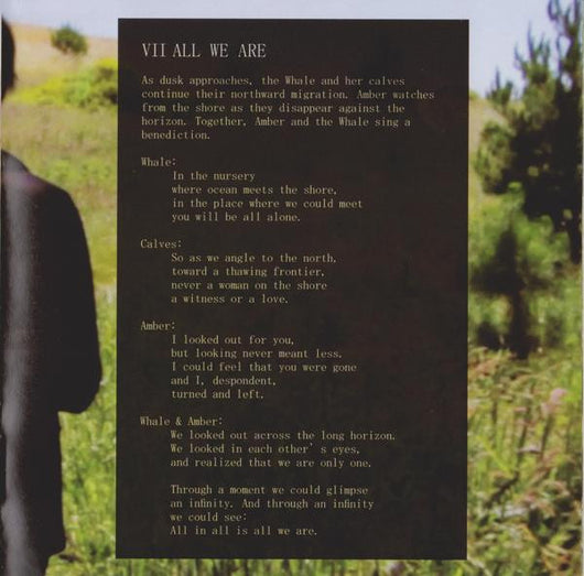 mount-wittenberg-orca