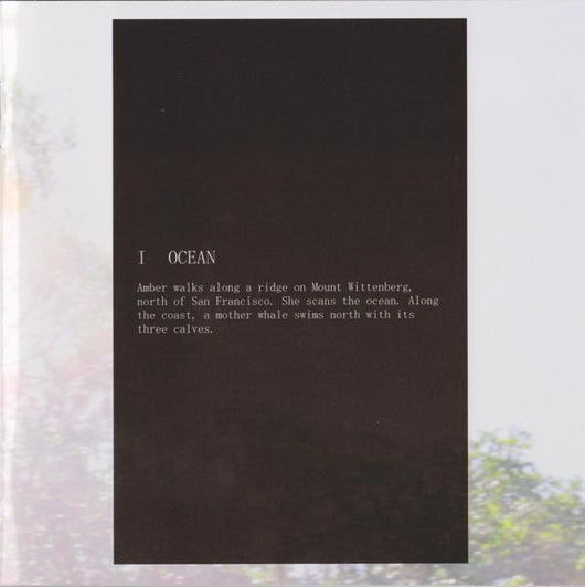 mount-wittenberg-orca