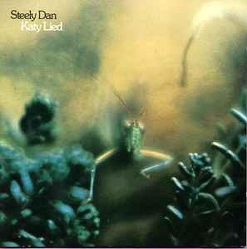 katy-lied