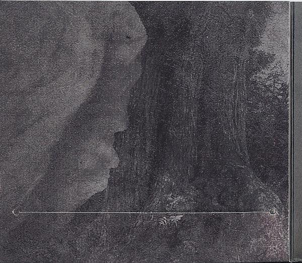silent-waters