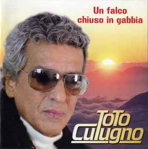un-falco-chiuso-in-gabbia