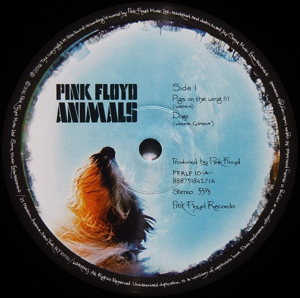 animals