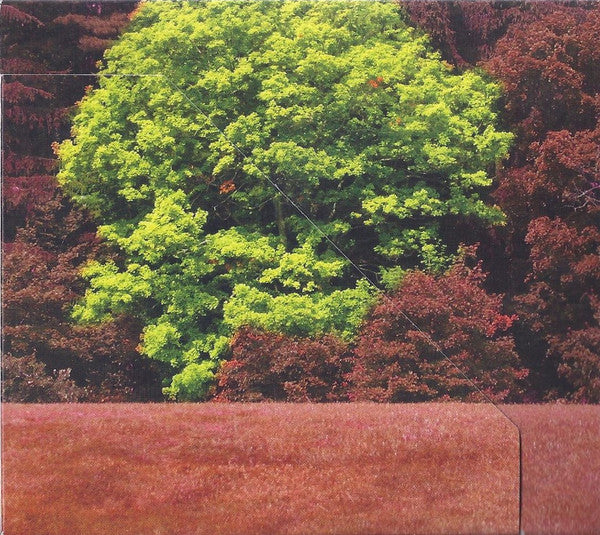 thurston-moore-–-trees-outside-the-academy