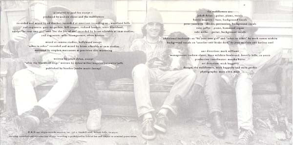 the-wallflowers