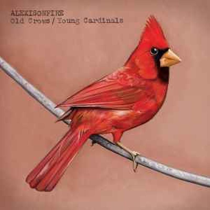 old-crows-/-young-cardinals