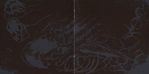 below-the-hengiform