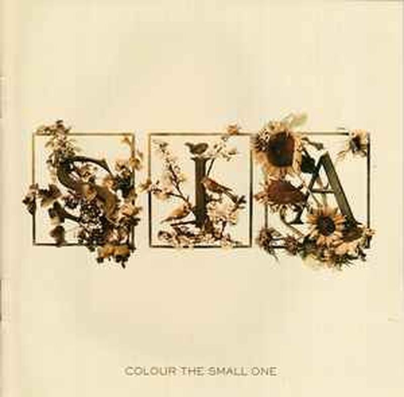 colour-the-small-one