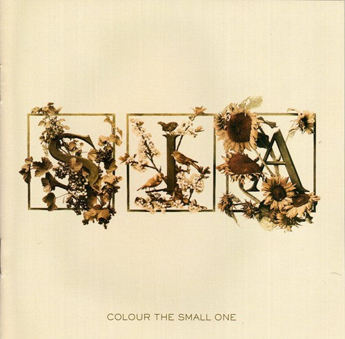 colour-the-small-one