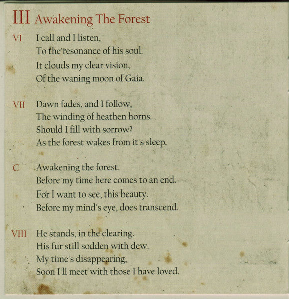 awakening-the-forest