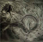 into-the-womb-of-dissolving-flames