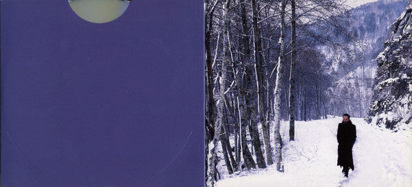 sting-–-if-on-a-winters-night...