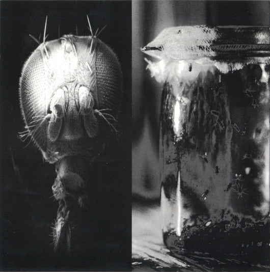 jar-of-flies-/-sap