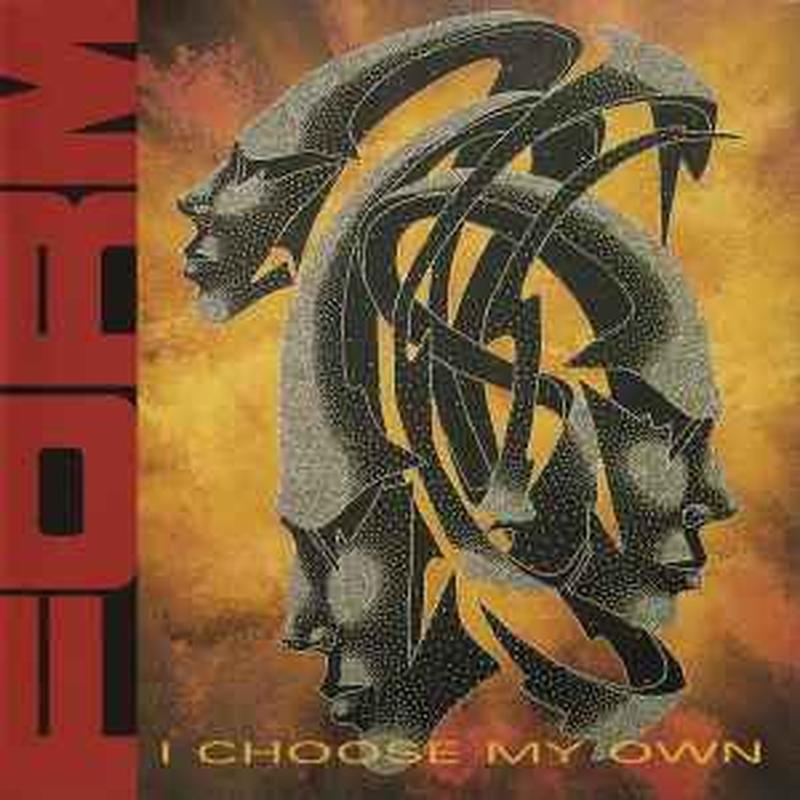 i-choose-my-own