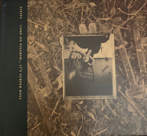 come-on-pilgrim...-its-surfer-rosa