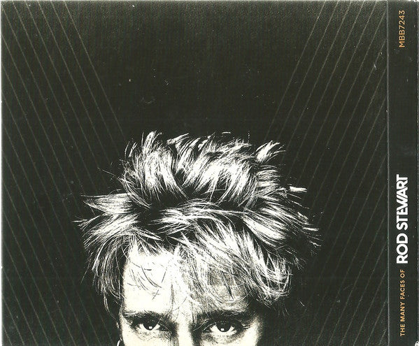 various-–-the-many-faces-of-rod-stewart-(a-journey-through-the-inner-world-of-rod-stewart)
