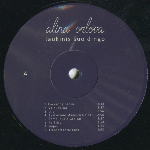 laukinis-šuo-dingo