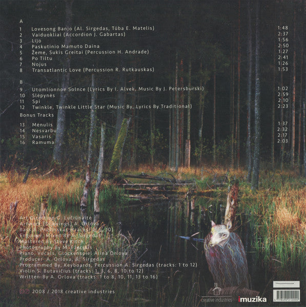 laukinis-šuo-dingo