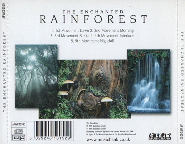the-enchanted-rainforest