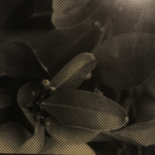 baghdad-batteries-(orbsessions-volume-iii)