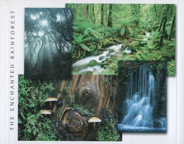 the-enchanted-rainforest