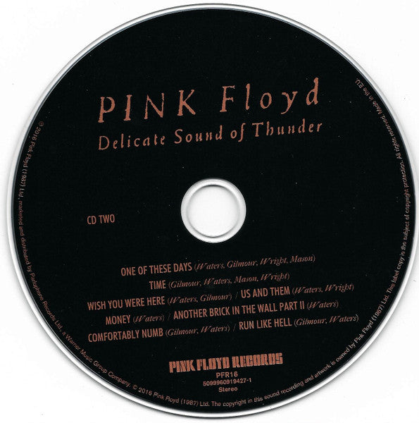 delicate-sound-of-thunder