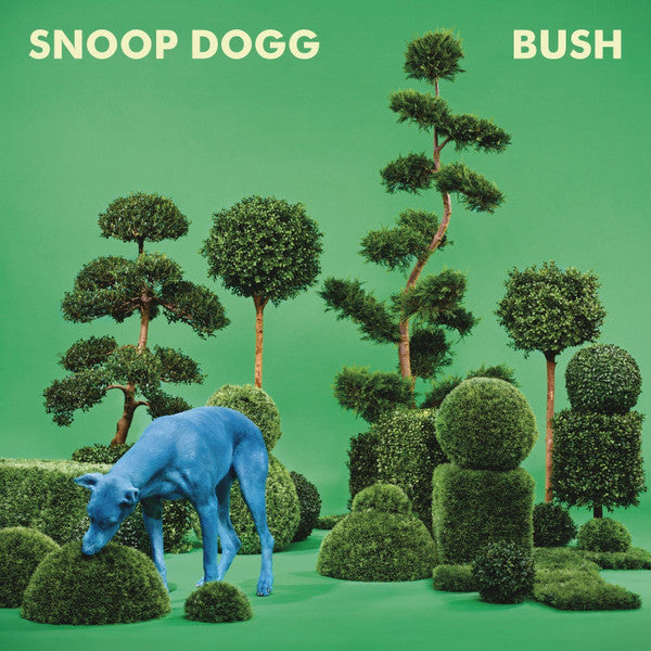 bush