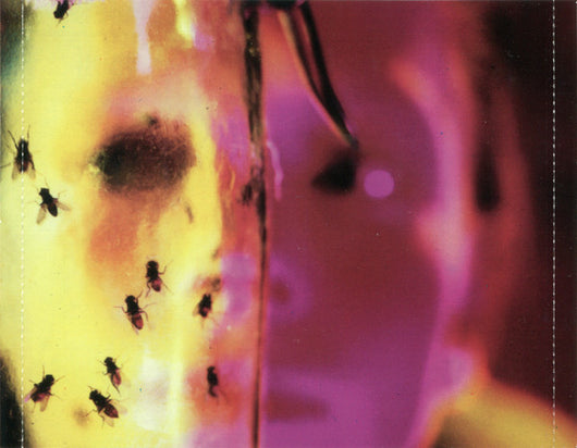 jar-of-flies-/-sap