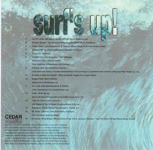 surfs-up!