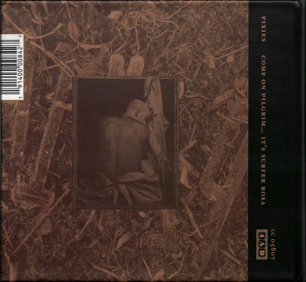 come-on-pilgrim...-its-surfer-rosa