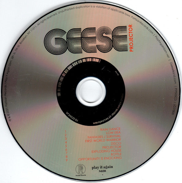 geese-(11)-–-projector