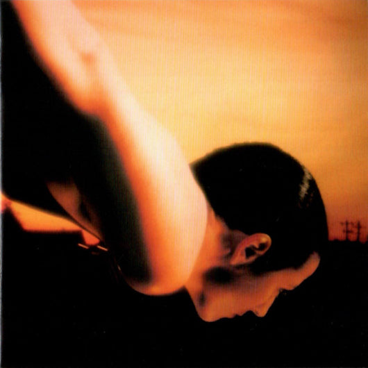 on-the-sunday-of-life...