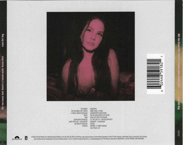 lana-del-rey-–-did-you-know-that-theres-a-tunnel-under-ocean-blvd