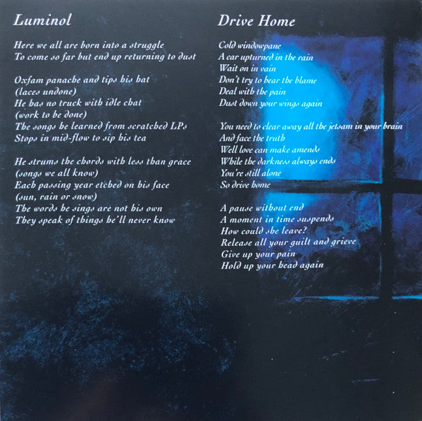 steven-wilson-–-the-raven-that-refused-to-sing-(and-other-stories)