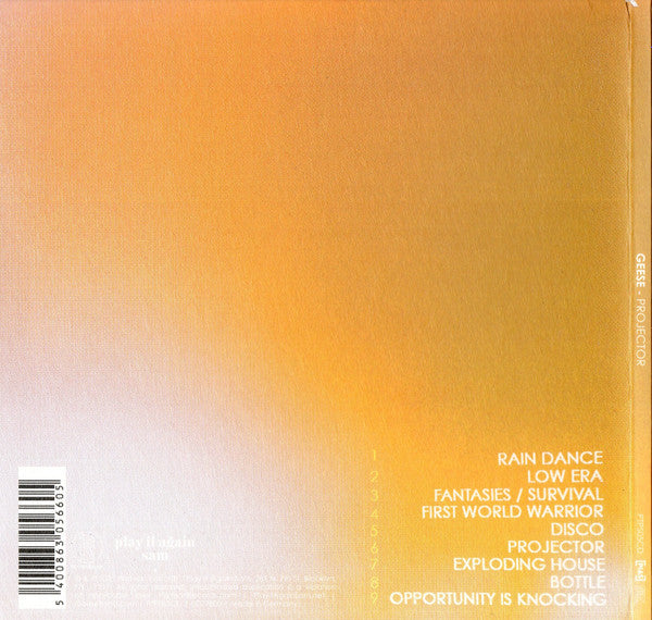 geese-(11)-–-projector