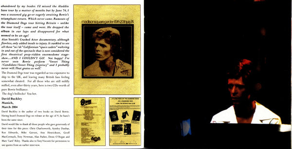 david-bowie-–-diamond-dogs