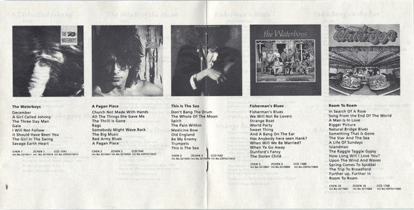 the-best-of-the-waterboys-81---90