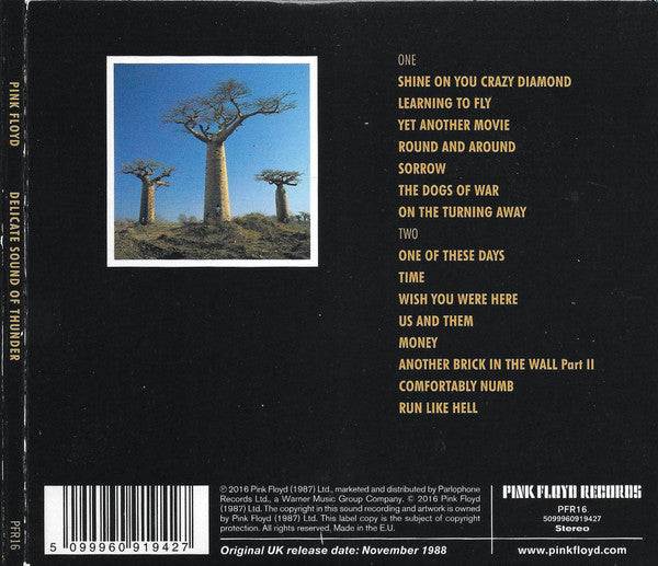 delicate-sound-of-thunder