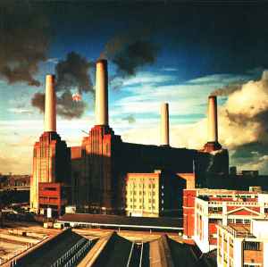 animals