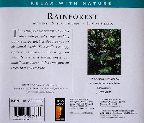 rainforest