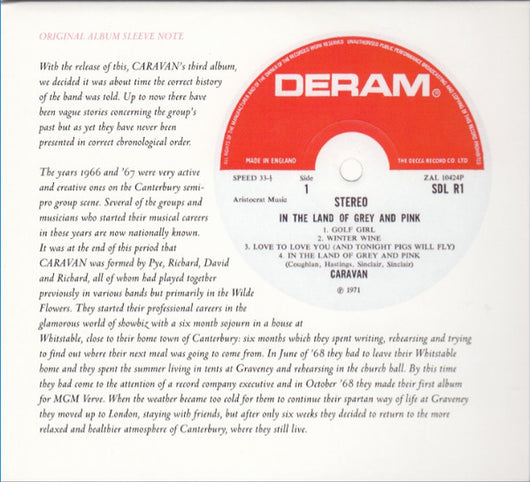 in-the-land-of-grey-and-pink