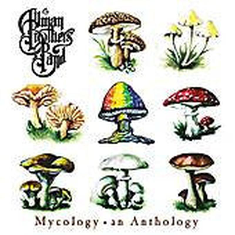 the-allman-brothers-band-–-mycology-•-an-anthology