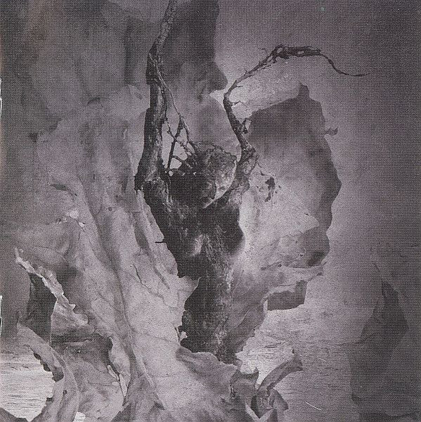 silent-waters