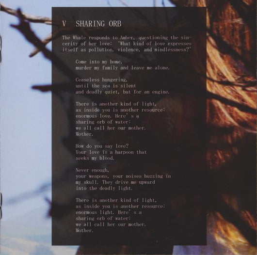 mount-wittenberg-orca