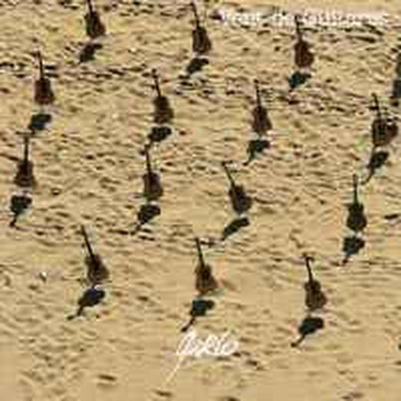 vent-de-guitares