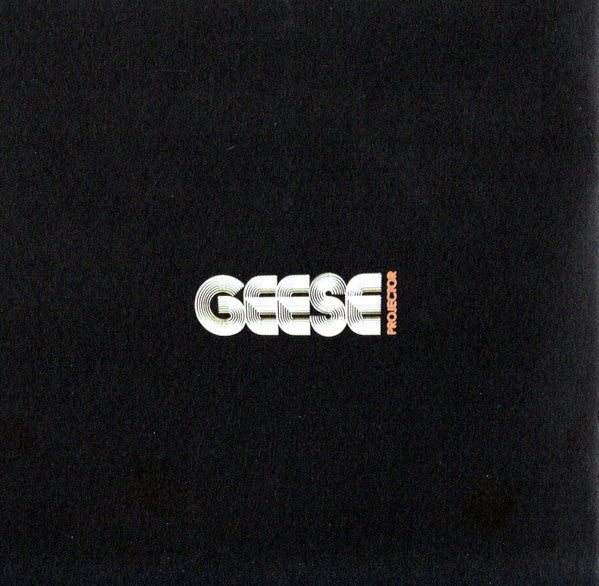 geese-(11)-–-projector