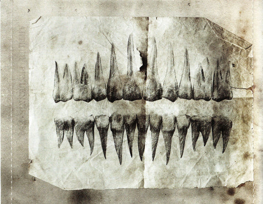 exhibit-b:-the-human-condition