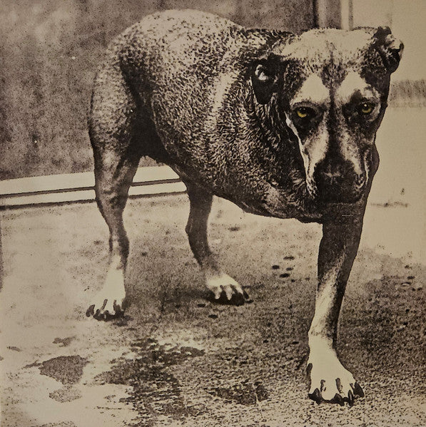 alice-in-chains-–-alice-in-chains