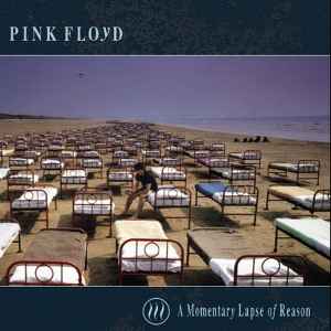 a-momentary-lapse-of-reason